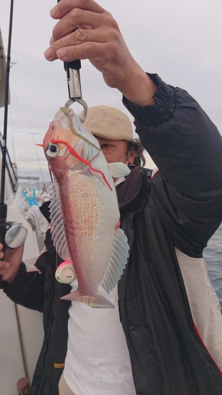 ARCADIAⅡ (アルカディアⅡ) 釣果