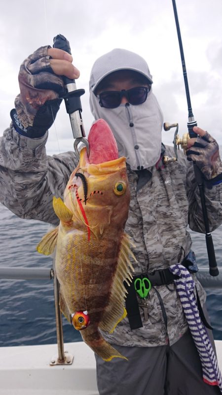 ARCADIAⅡ (アルカディアⅡ) 釣果