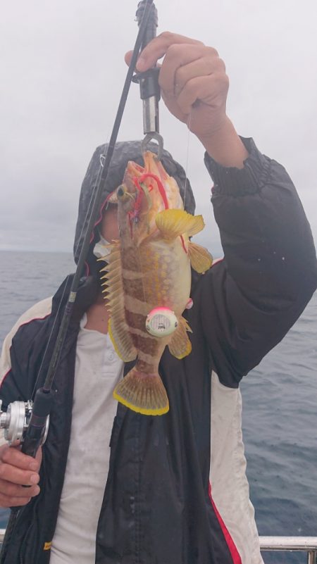 ARCADIAⅡ (アルカディアⅡ) 釣果