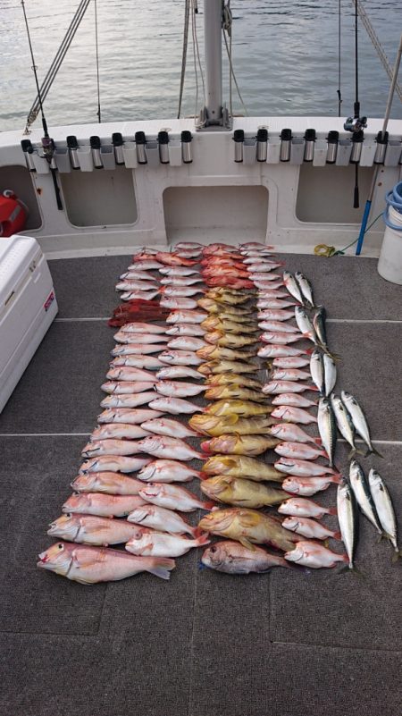 ARCADIAⅡ (アルカディアⅡ) 釣果