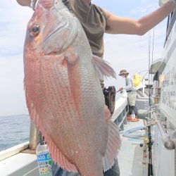だて丸 釣果