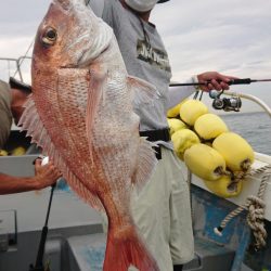 だて丸 釣果