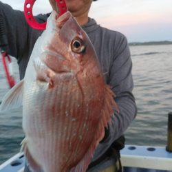 新幸丸 釣果