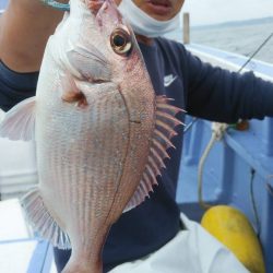 新幸丸 釣果