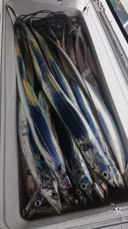 シースナイパー海龍 釣果