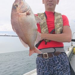 だて丸 釣果