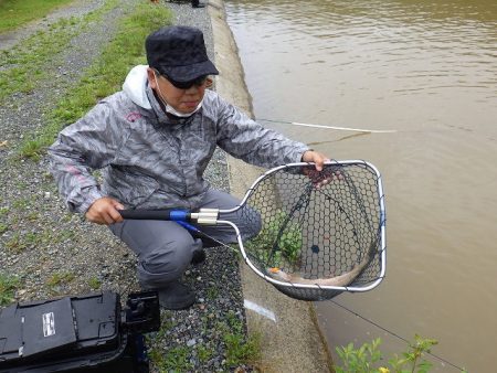 平谷湖フィッシングスポット 釣果