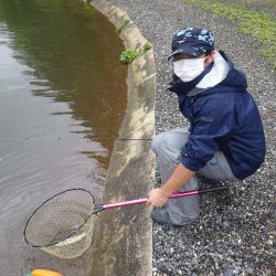 平谷湖フィッシングスポット 釣果
