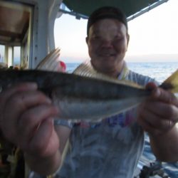 真祐丸 (しんゆうまる) 釣果