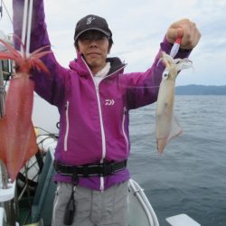 真祐丸 （しんゆうまる） 釣果