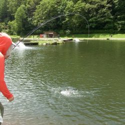 平谷湖フィッシングスポット 釣果