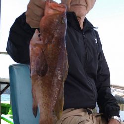 小島丸 釣果