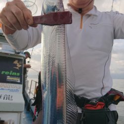 シースナイパー海龍 釣果