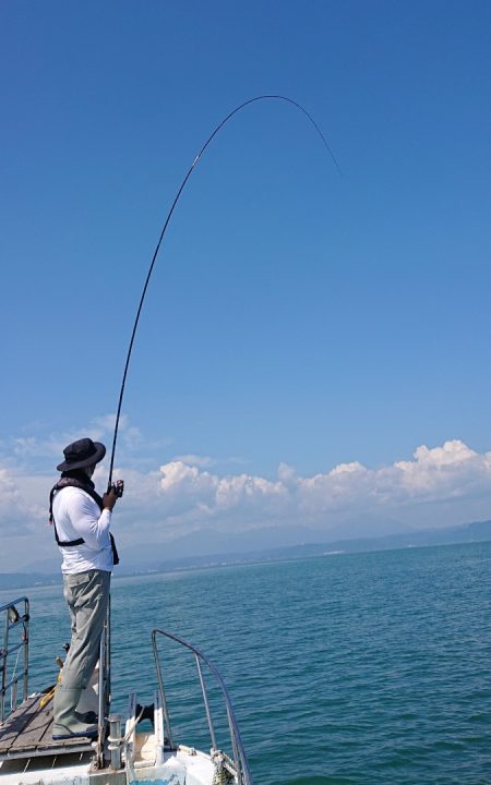 シースナイパー海龍 釣果