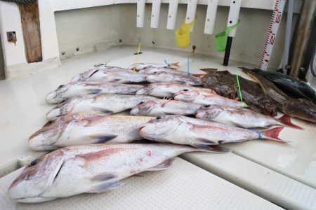 KIM Fishing Guide Ser…