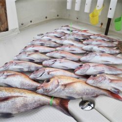 KIM Fishing Guide Service 釣果