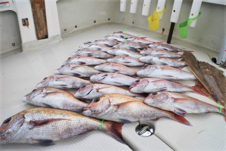 KIM Fishing Guide Ser…