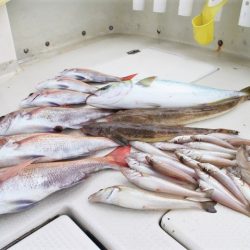 KIM Fishing Guide Service 釣果