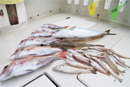 KIM Fishing Guide Ser…