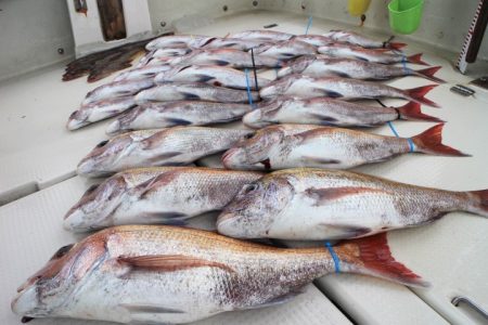 KIM Fishing Guide Ser…