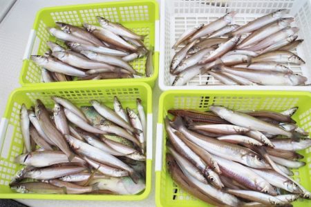 KIM Fishing Guide Ser…