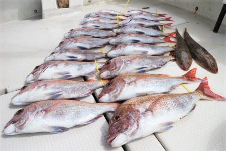 KIM Fishing Guide Ser…