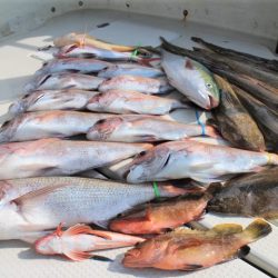 KIM Fishing Guide Service 釣果