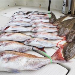 KIM Fishing Guide Service 釣果