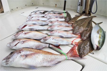 KIM Fishing Guide Ser…