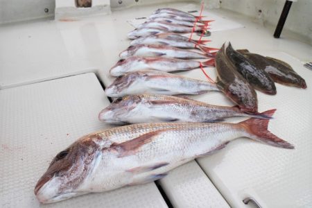 KIM Fishing Guide Ser…