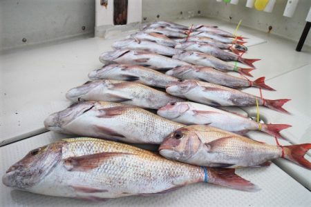 KIM Fishing Guide Ser…