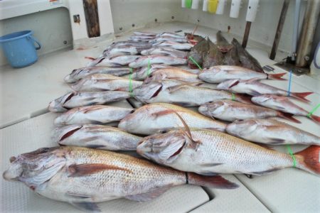 KIM Fishing Guide Ser…