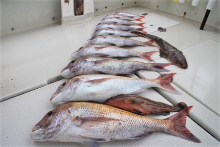 KIM Fishing Guide Ser…