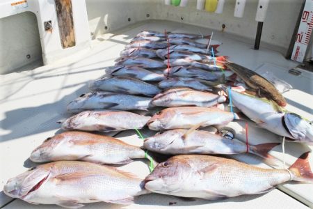 KIM Fishing Guide Ser…