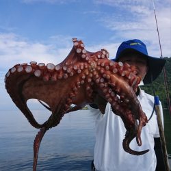 遊漁船　家入 釣果