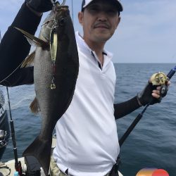 幕島丸 釣果