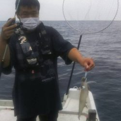 幕島丸 釣果