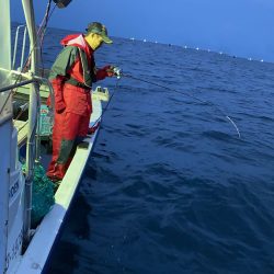 幕島丸 釣果