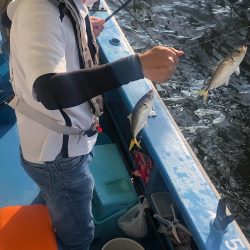 ヤザワ渡船 釣果