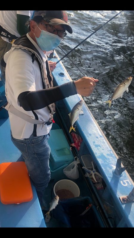 ヤザワ渡船 釣果