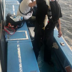 ヤザワ渡船 釣果