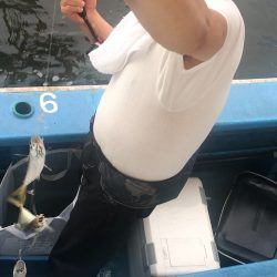 ヤザワ渡船 釣果