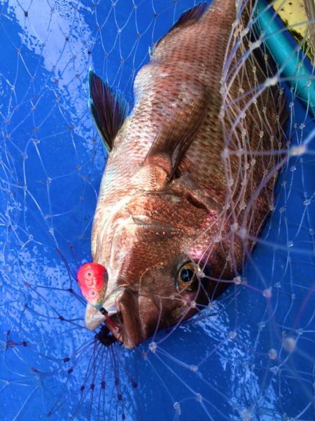 真正丸 釣果