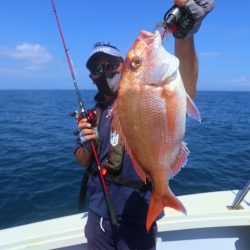 エル・クルーズ 釣果