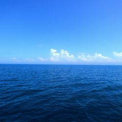 エル・クルーズ 釣果