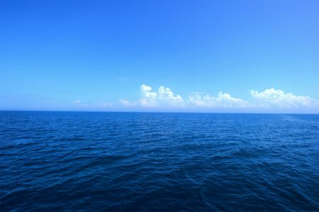 エル・クルーズ 釣果