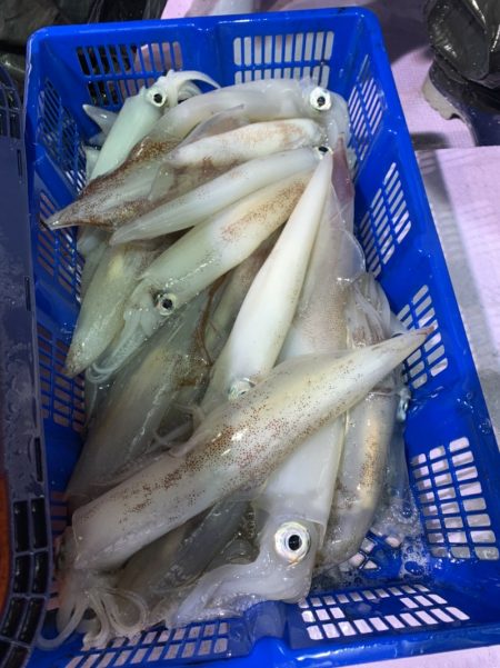 海龍丸（石川） 釣果