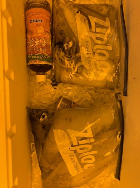 海龍丸（石川） 釣果