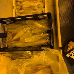 海龍丸（石川） 釣果