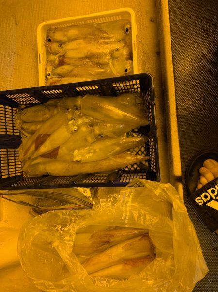 海龍丸（石川） 釣果